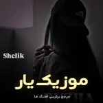 دانلود آهنگ شلیک روژا