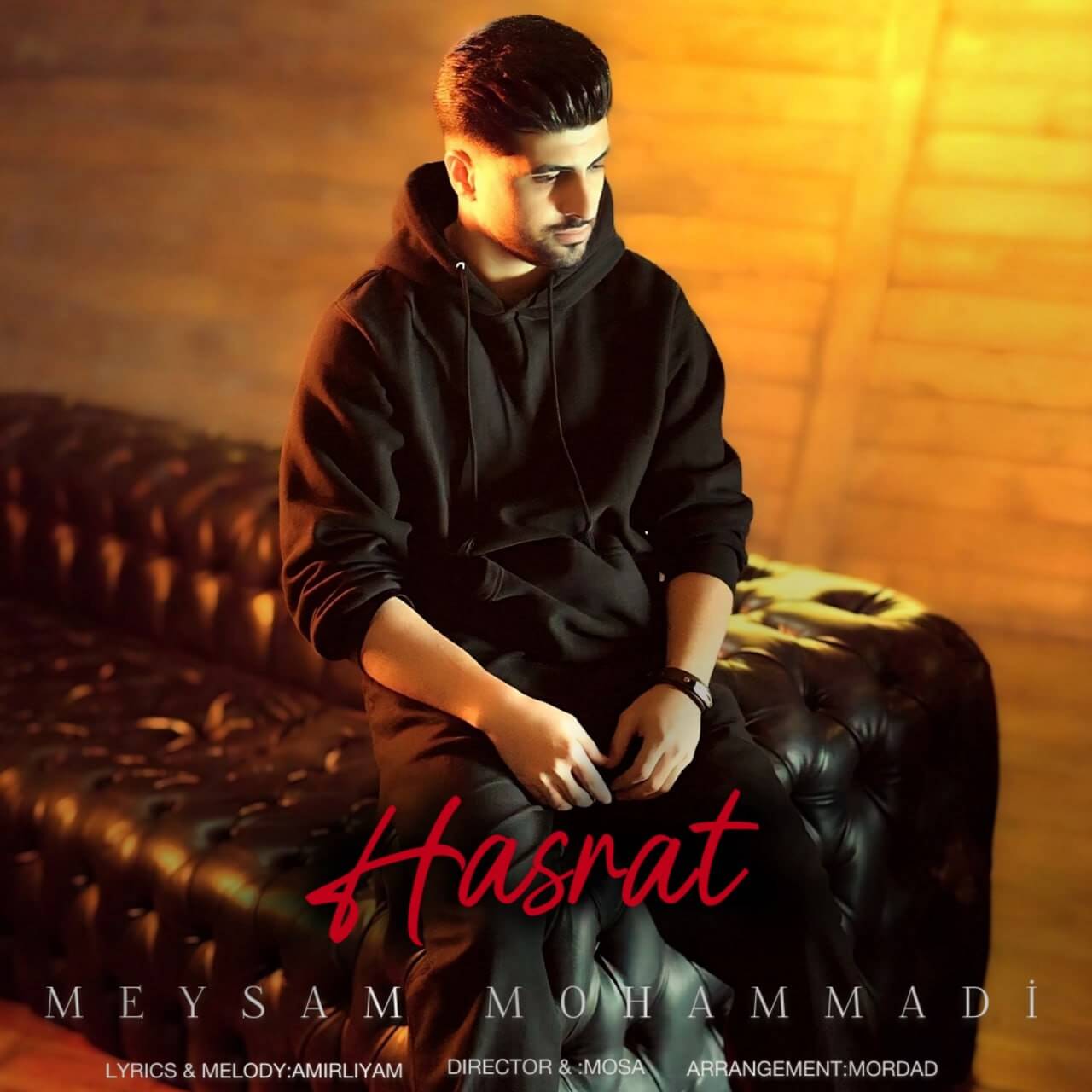 دانلود آهنگ حسرت میثم محمدی