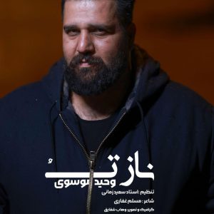 دانلود آهنگ ناز تو وحید موسوی دانلود آهنگ ناز تو وحید موسوی