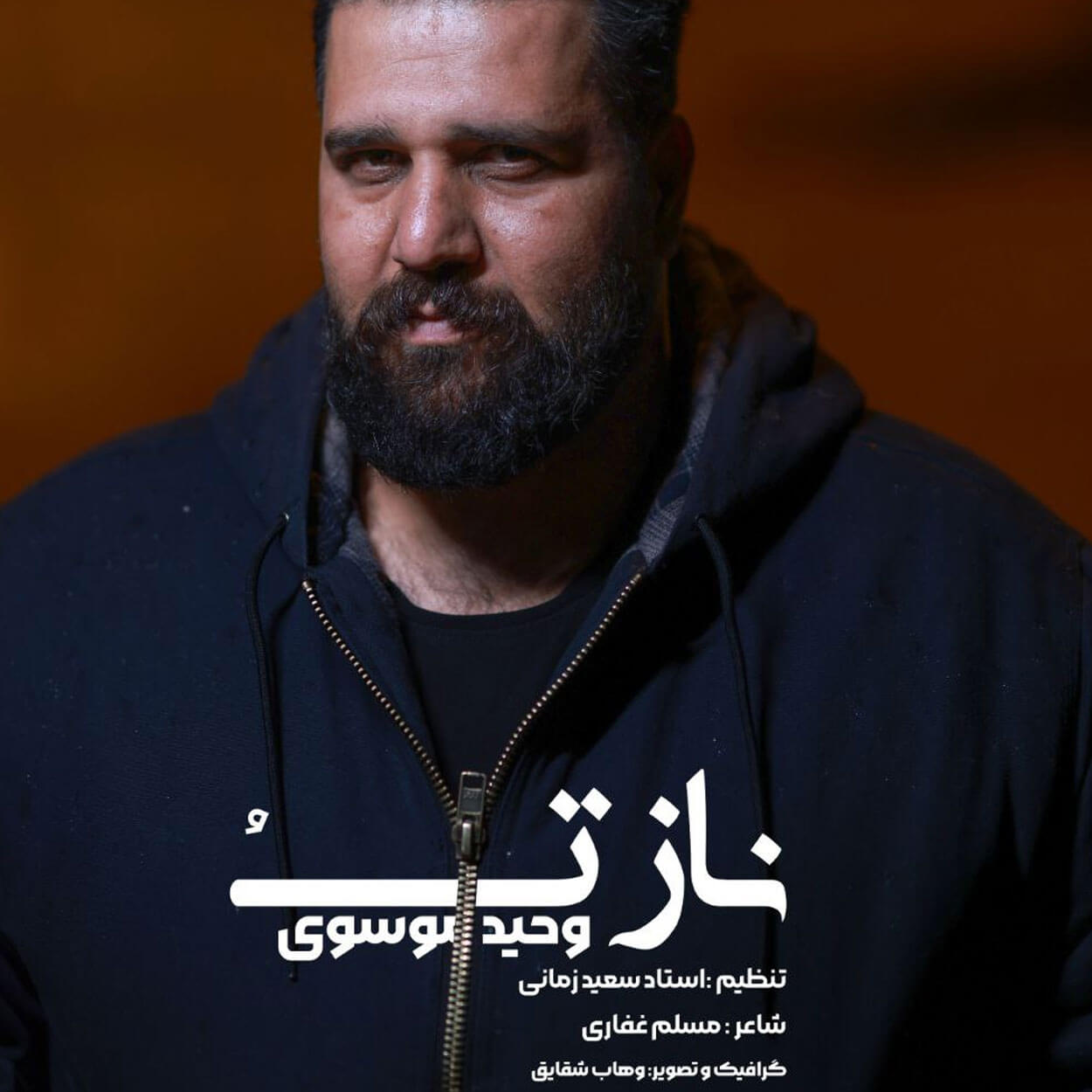 دانلود آهنگ ناز تو وحید موسوی