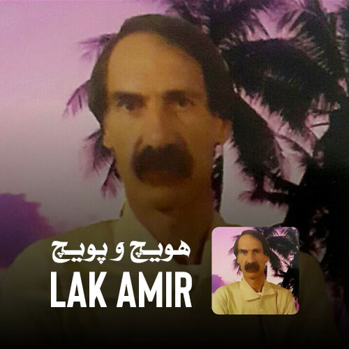 دانلود آهنگ هویچ و پویچ لک امیر