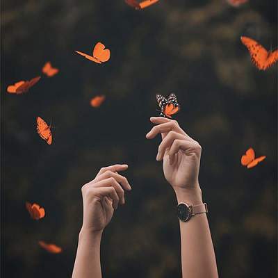 دانلود ریمیکس مثل پروانه ها دورت میگردم