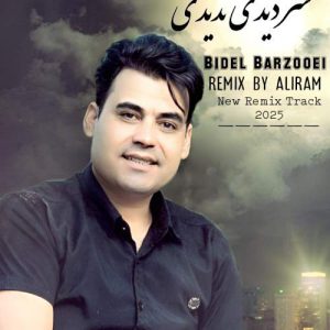 دانلود آهنگ من فقط رد شد و یک لحظه نگاهش کردم بیدل برزویی