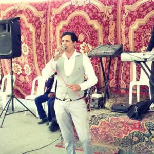 دانلود آهنگ دختر ندیدم که دولا دولا برود عباس حداد  