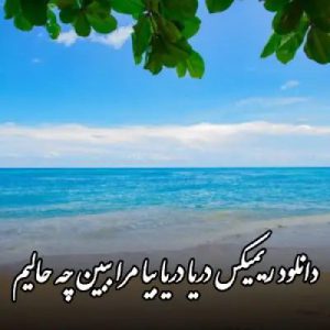 دانلود آهنگ ریمیکس دریا دریا بیا مرا ببین چه حالیم هوش مصنوعی (هایده و چاوشی)