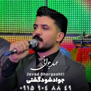 دانلود آهنگ ای جوونی رفتی و بردی شورو نشاطم ای دریغ جواد شورگشتی دانلود آهنگ ای جوونی رفتی و بردی شورو نشاطم ای دریغ جواد شورگشتی