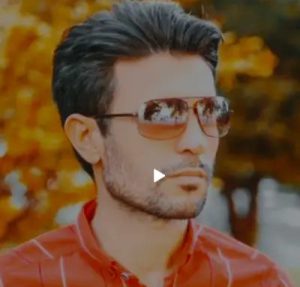دانلود آهنگ دل پر درد و رنگم زرد زرده از محمود انصاری + پخش انلاین